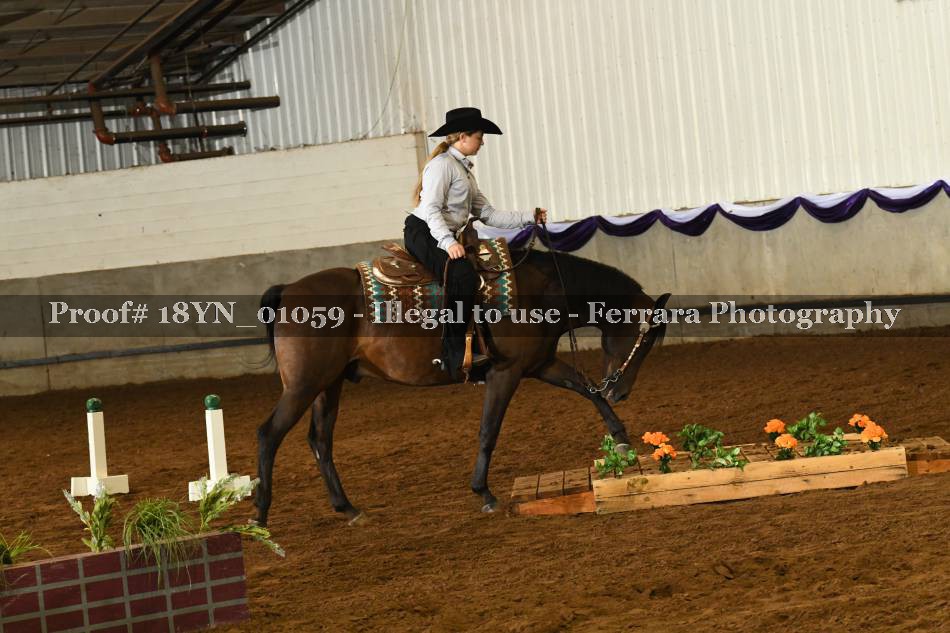 Proof 18YN_01059