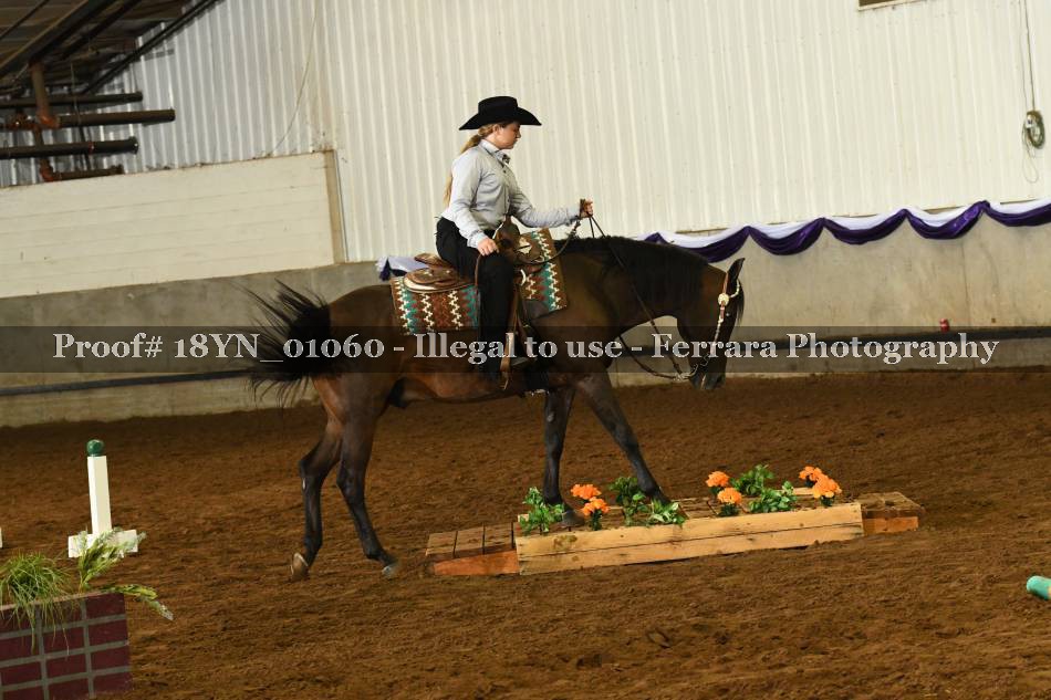 Proof 18YN_01060