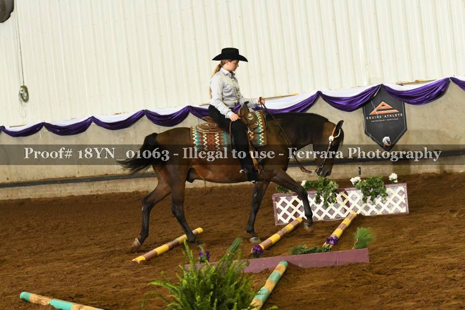 Proof 18YN_01063