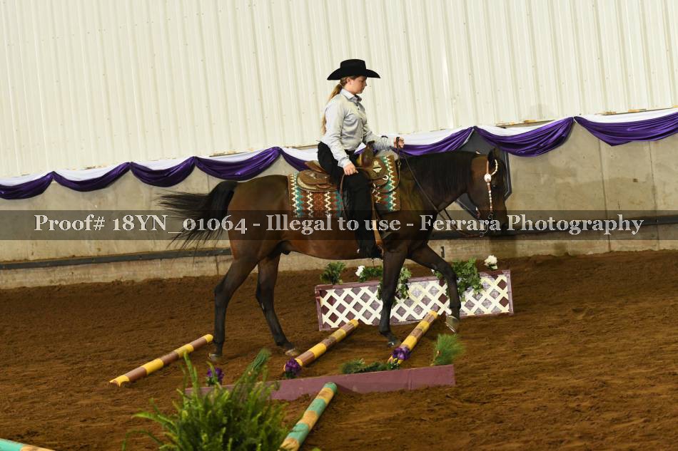 Proof 18YN_01064