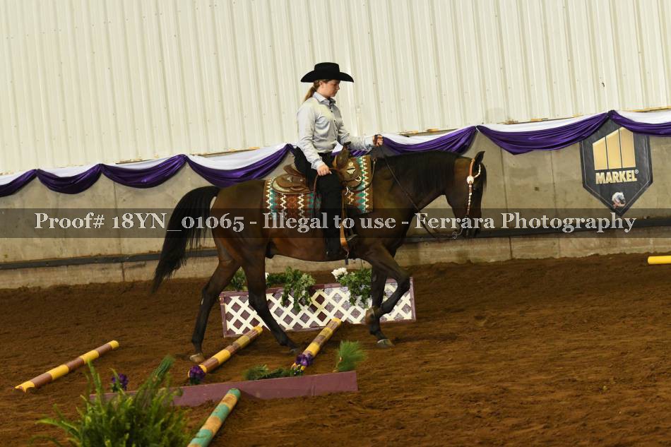 Proof 18YN_01065