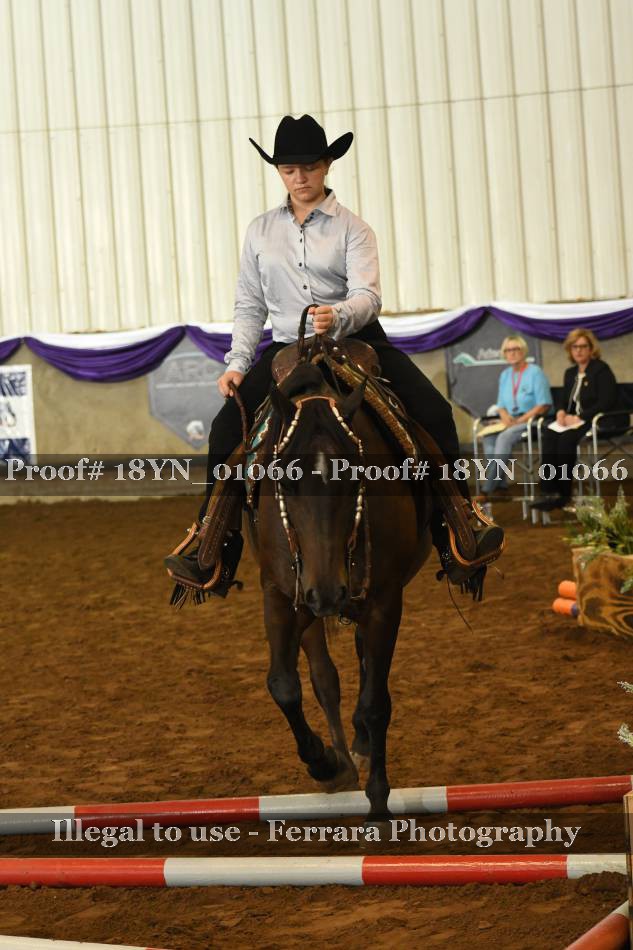 Proof 18YN_01066