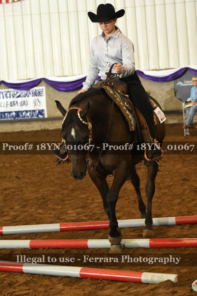 Proof 18YN_01067