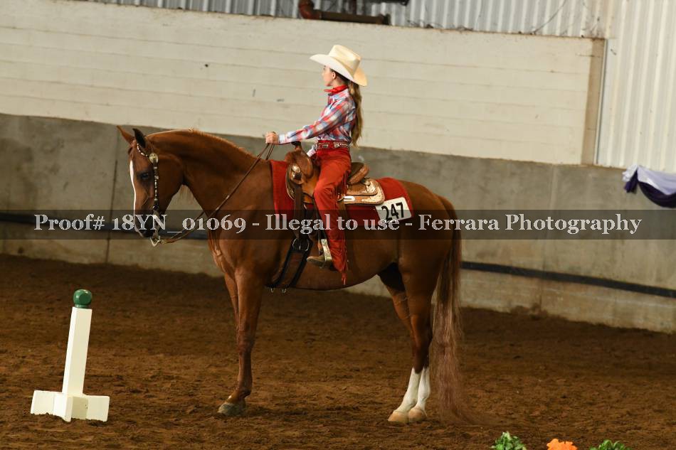 Proof 18YN_01069