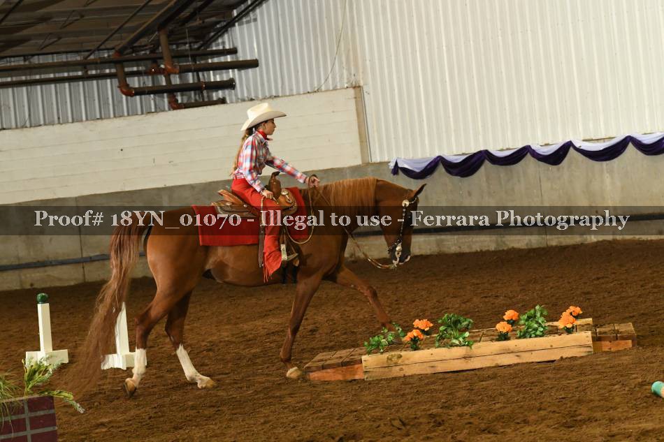 Proof 18YN_01070