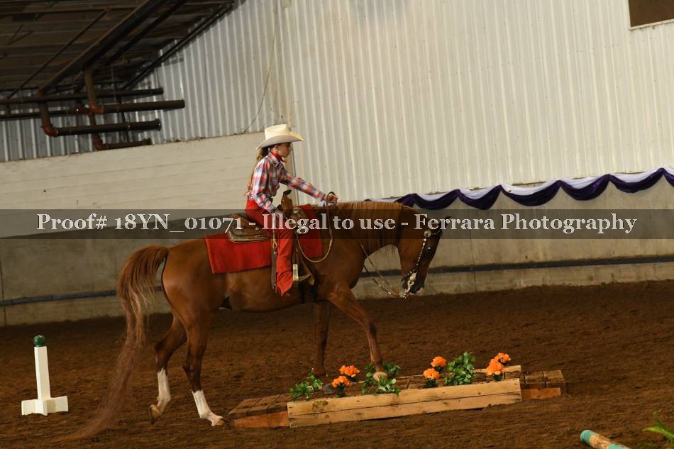 Proof 18YN_01071