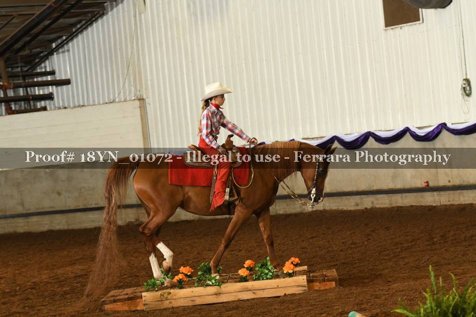 Proof 18YN_01072