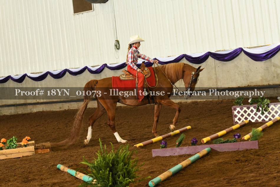 Proof 18YN_01073