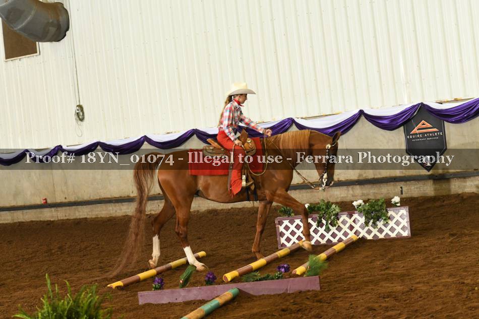 Proof 18YN_01074