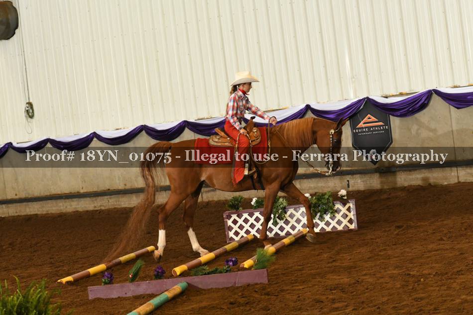 Proof 18YN_01075