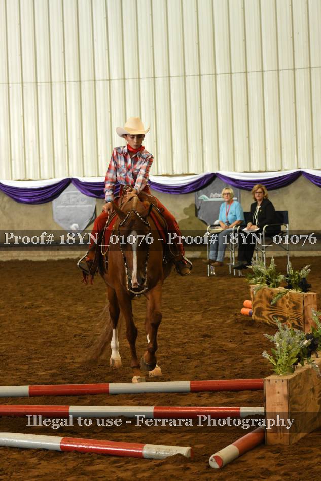 Proof 18YN_01076