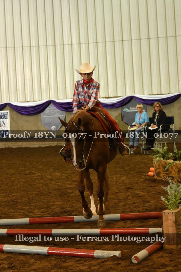 Proof 18YN_01077