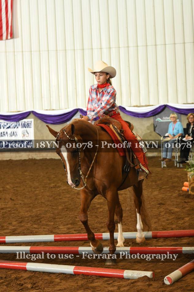 Proof 18YN_01078