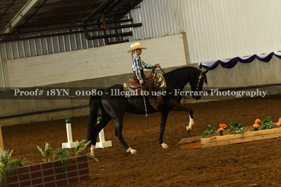 Proof 18YN_01080
