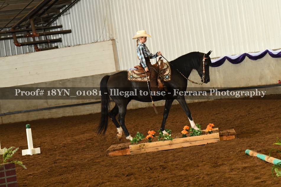 Proof 18YN_01081