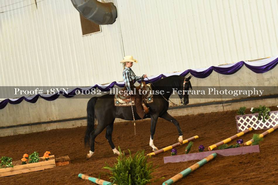 Proof 18YN_01082