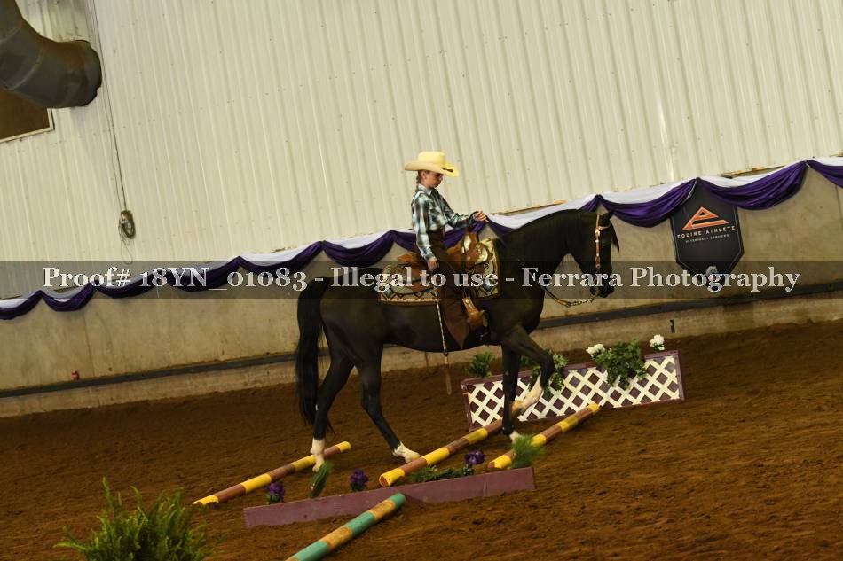 Proof 18YN_01083