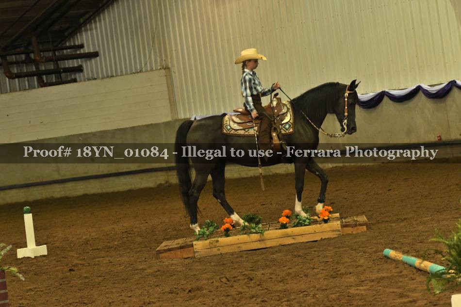 Proof 18YN_01084