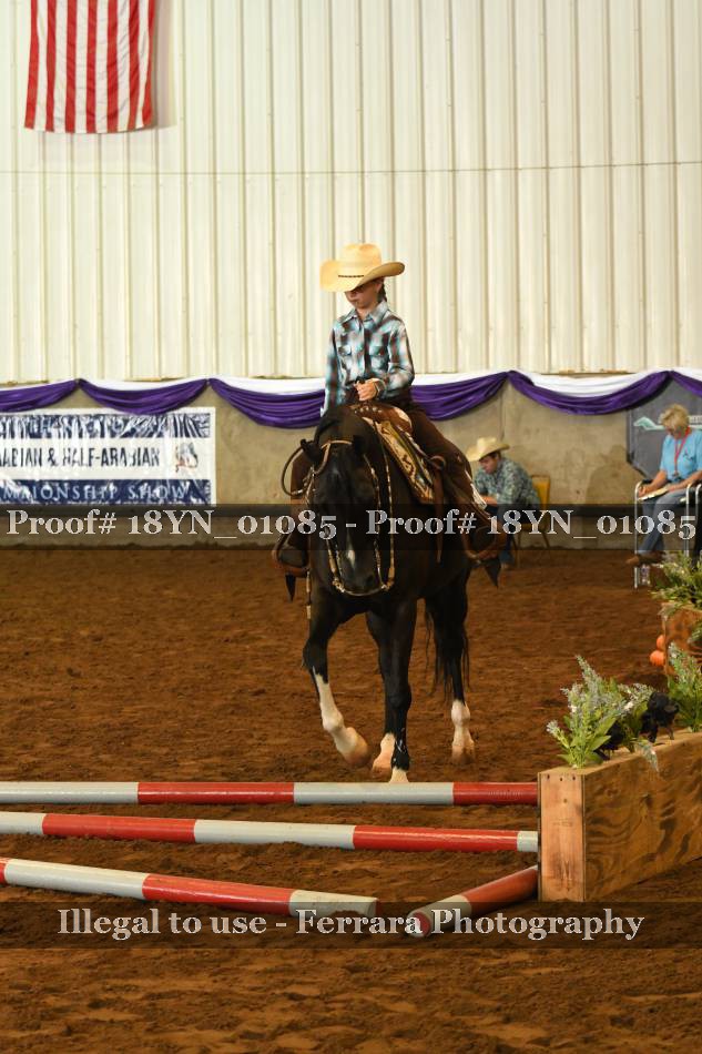 Proof 18YN_01085