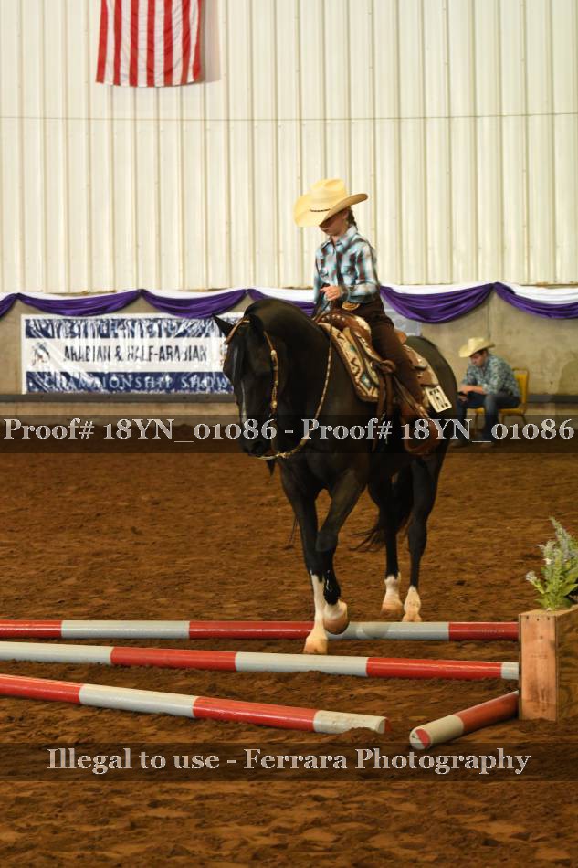 Proof 18YN_01086