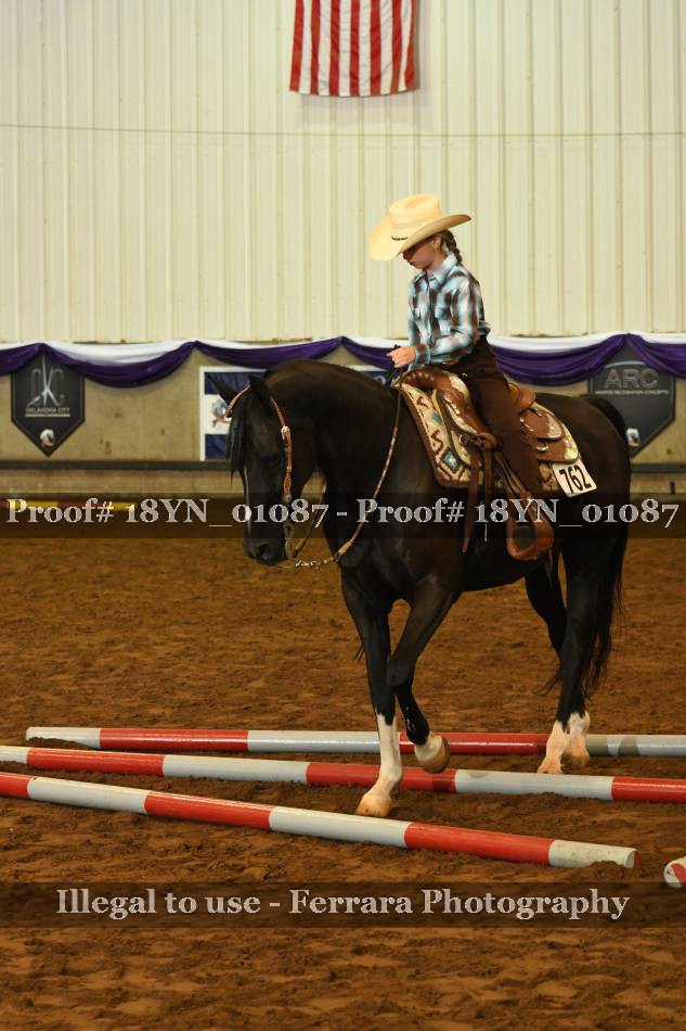 Proof 18YN_01087