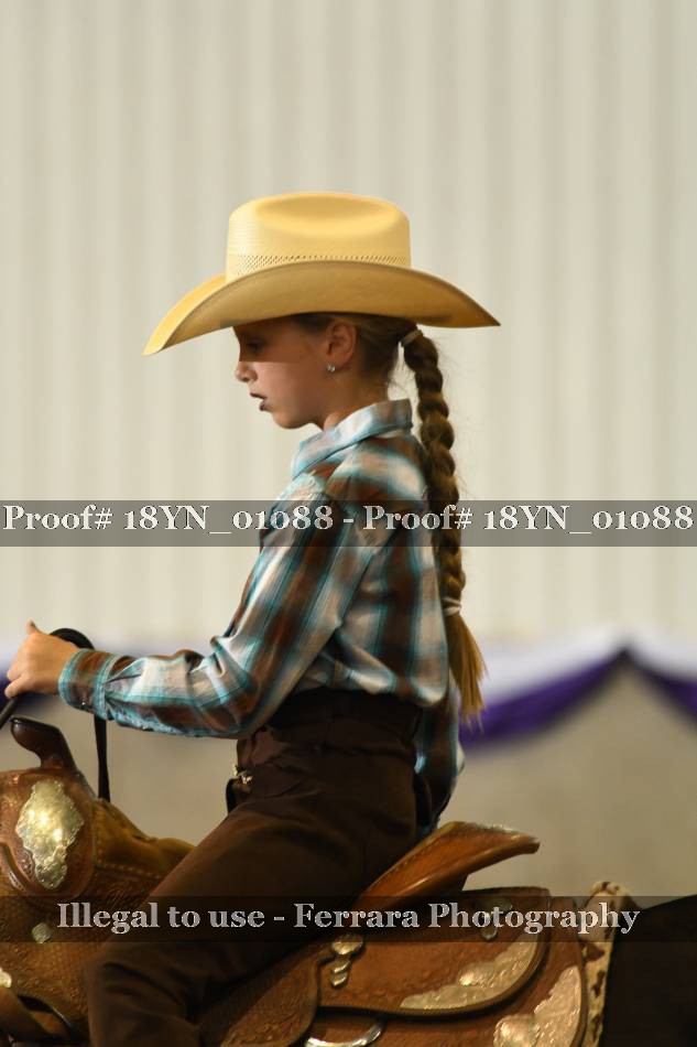 Proof 18YN_01088