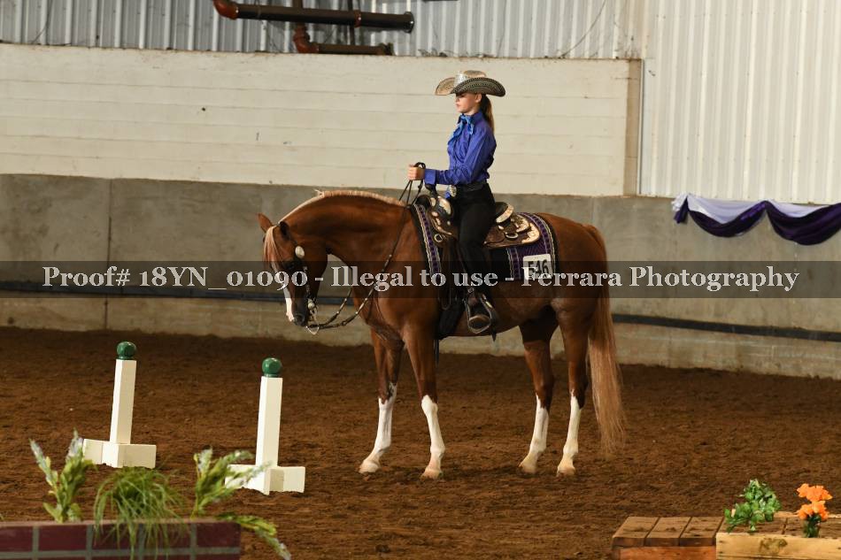 Proof 18YN_01090