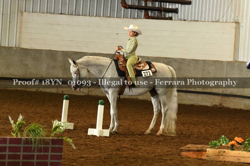 Proof 18YN_01093