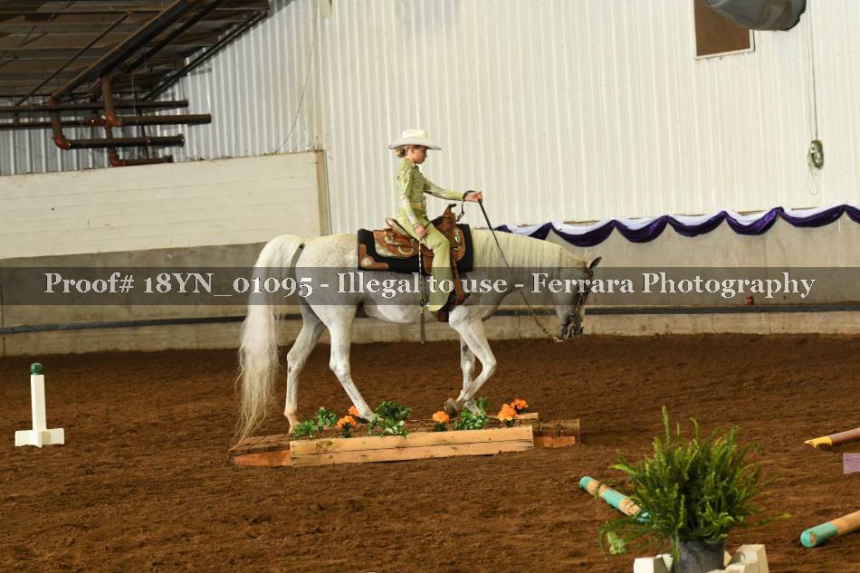 Proof 18YN_01095