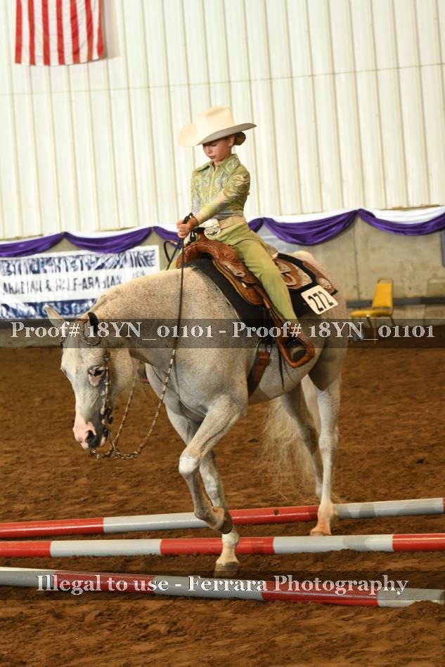 Proof 18YN_01101