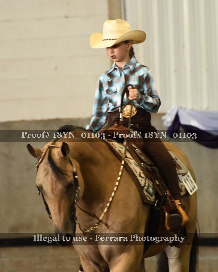 Proof 18YN_01103