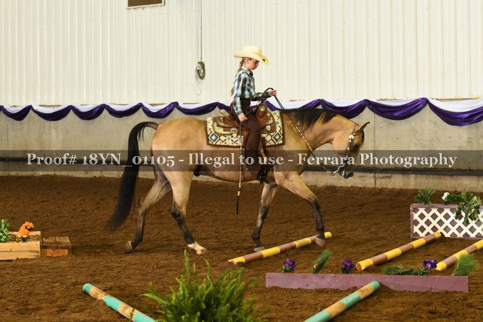Proof 18YN_01105