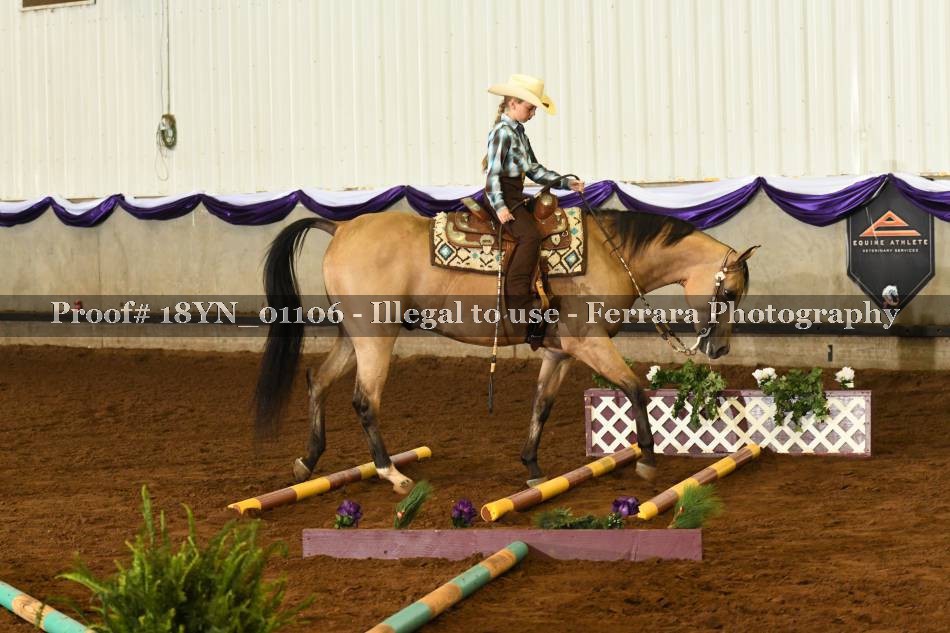 Proof 18YN_01106