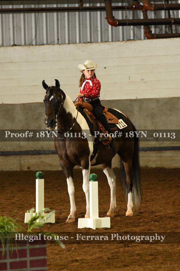 Proof 18YN_01113