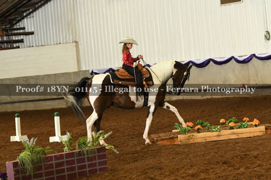 Proof 18YN_01115