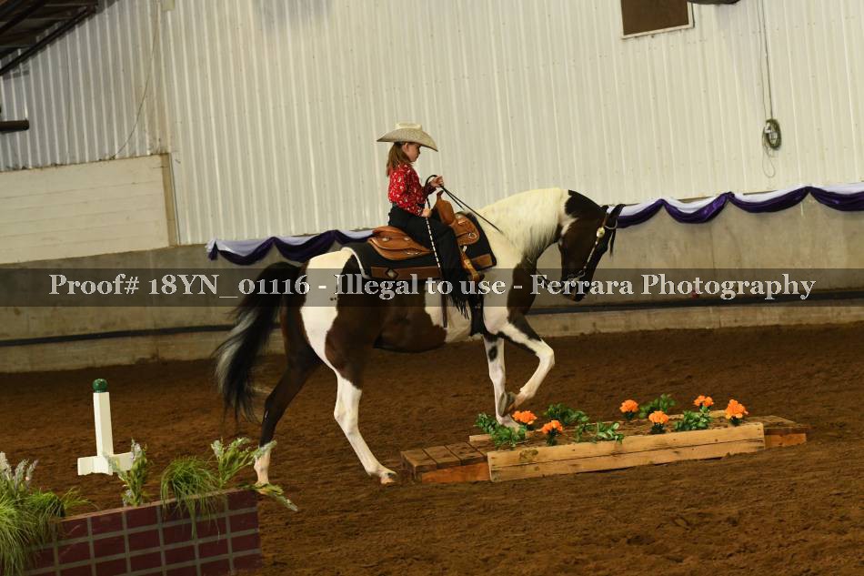 Proof 18YN_01116