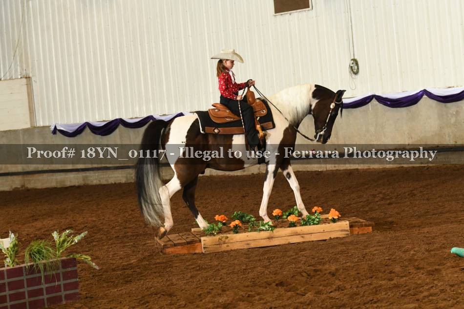 Proof 18YN_01117