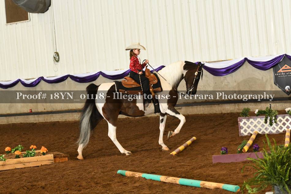Proof 18YN_01118