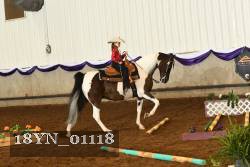 18YN_01118 proof