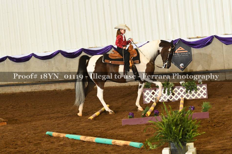 Proof 18YN_01119