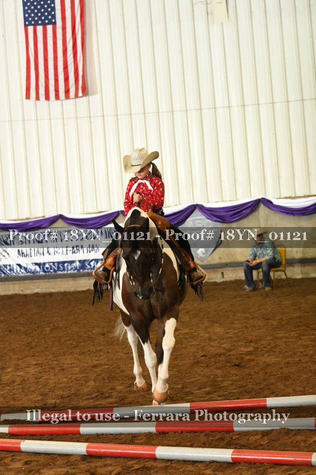 Proof 18YN_01121
