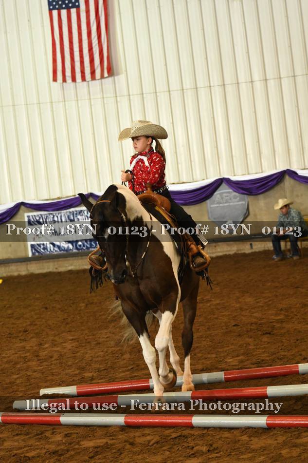 Proof 18YN_01123