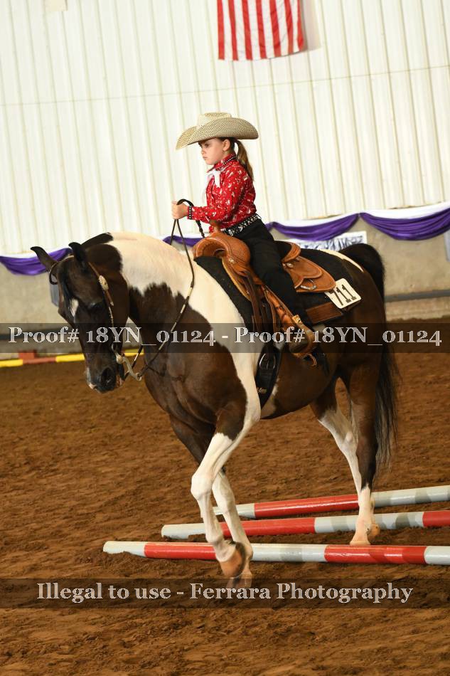 Proof 18YN_01124