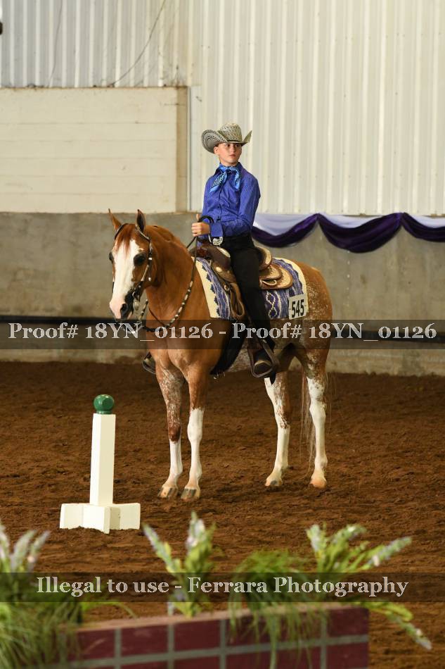 Proof 18YN_01126