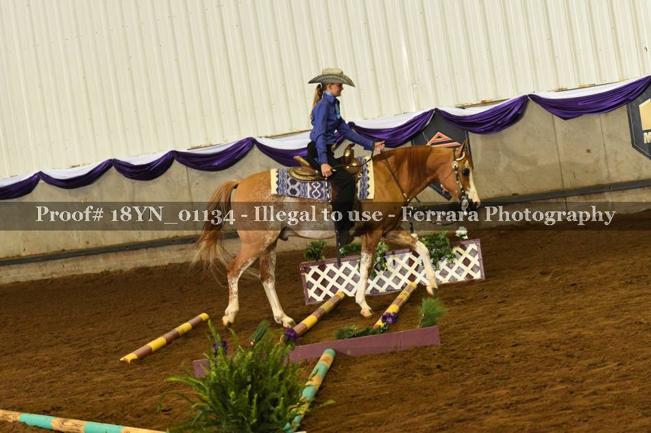 Proof 18YN_01134