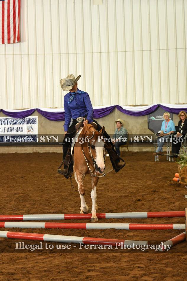 Proof 18YN_01136