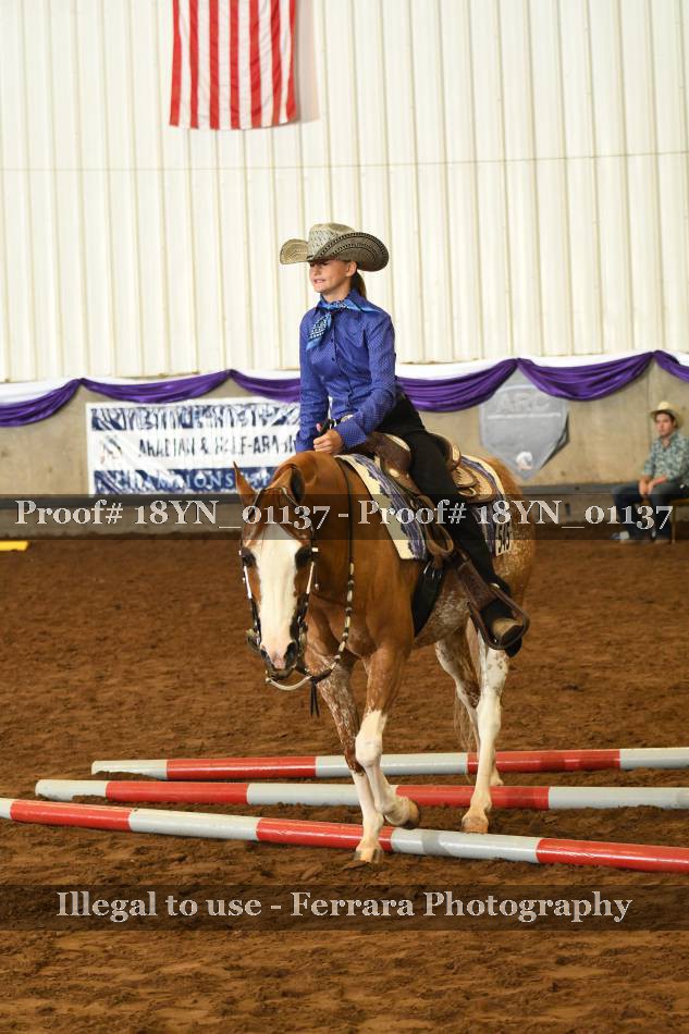 Proof 18YN_01137