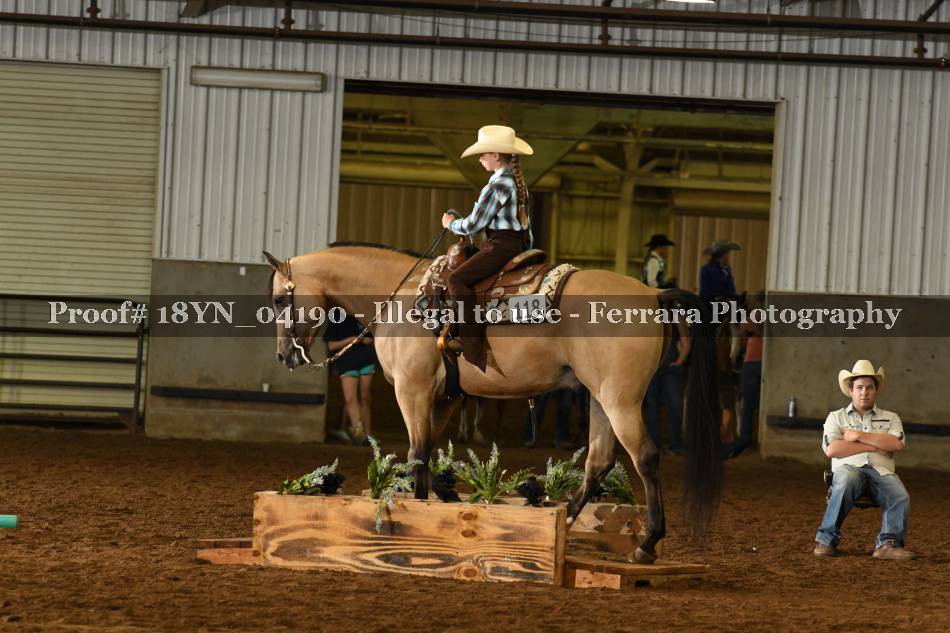 Proof 18YN_04190