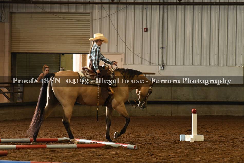 Proof 18YN_04193