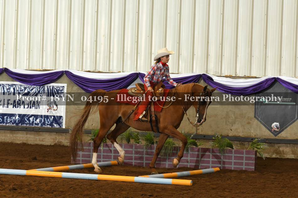 Proof 18YN_04195